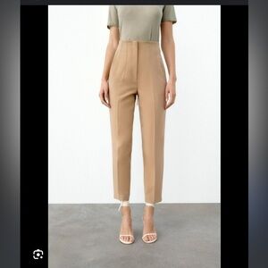 Zara High Waisted Pleated Pant (Black)